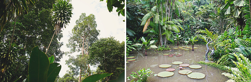 singapore wedding gardens