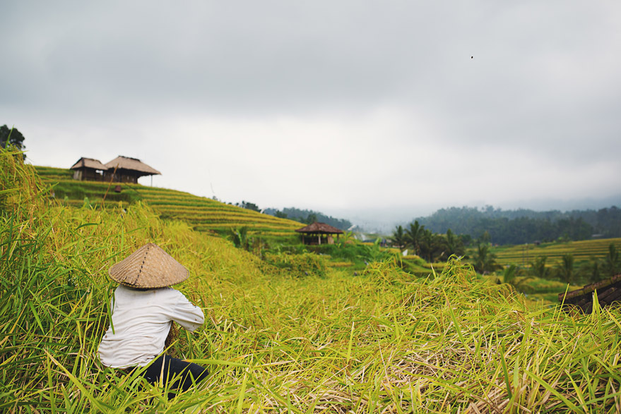 bali destination wedding