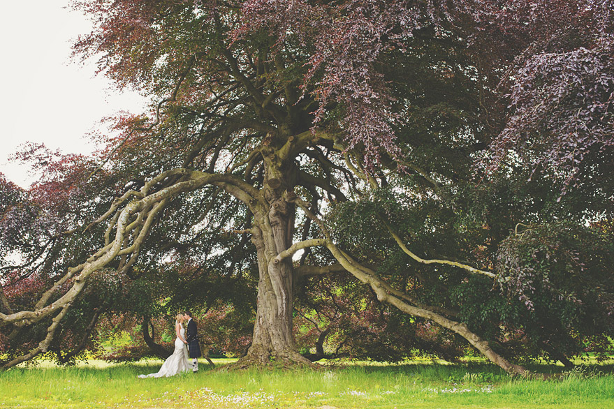 mark pacua photography