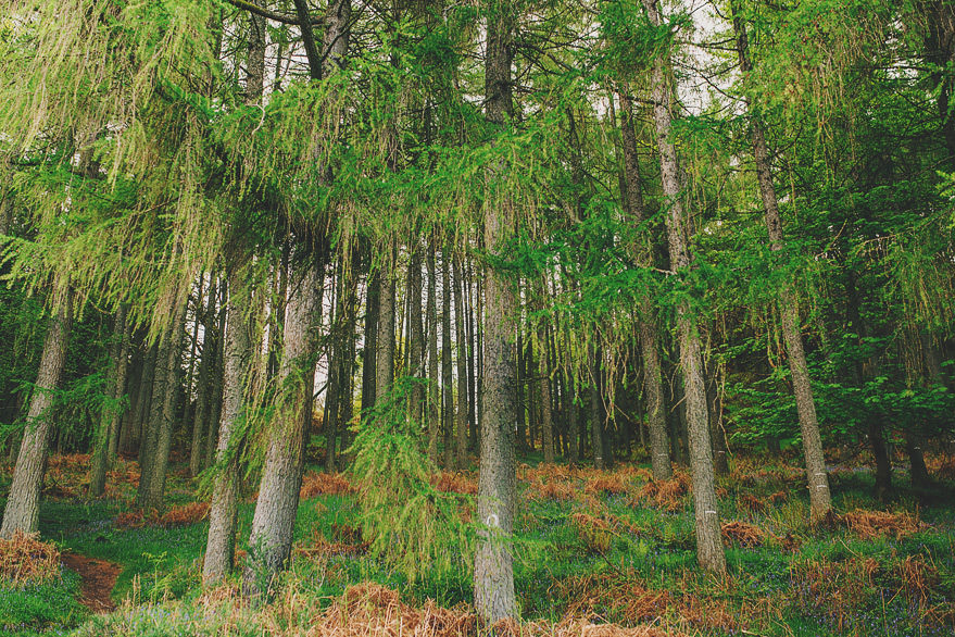 scotland photographer 