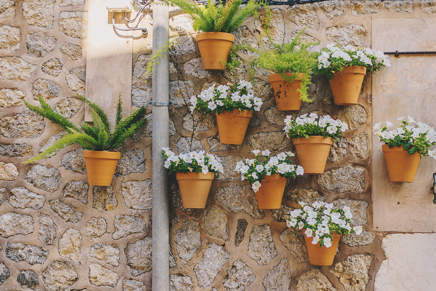 valdemossa flowers