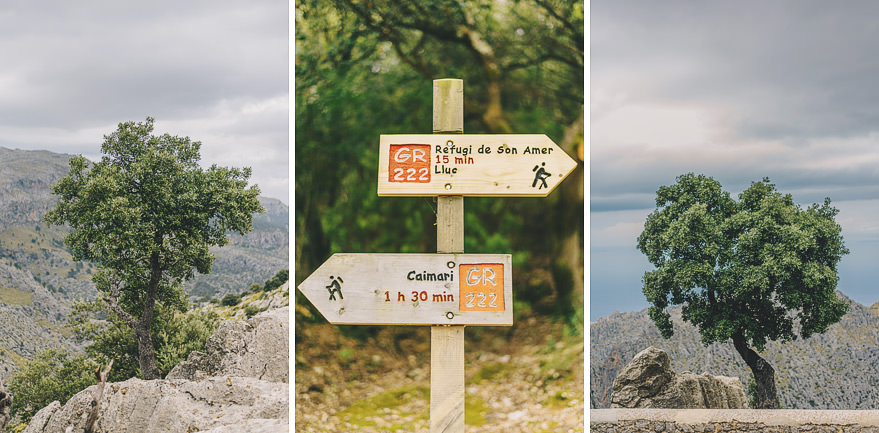 trekking in mallorca
