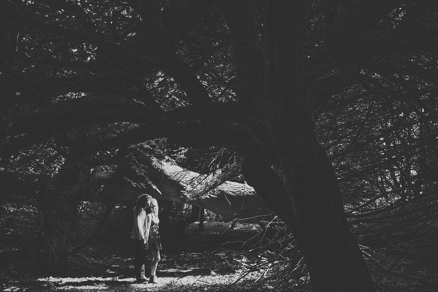 alternative wedding photographer