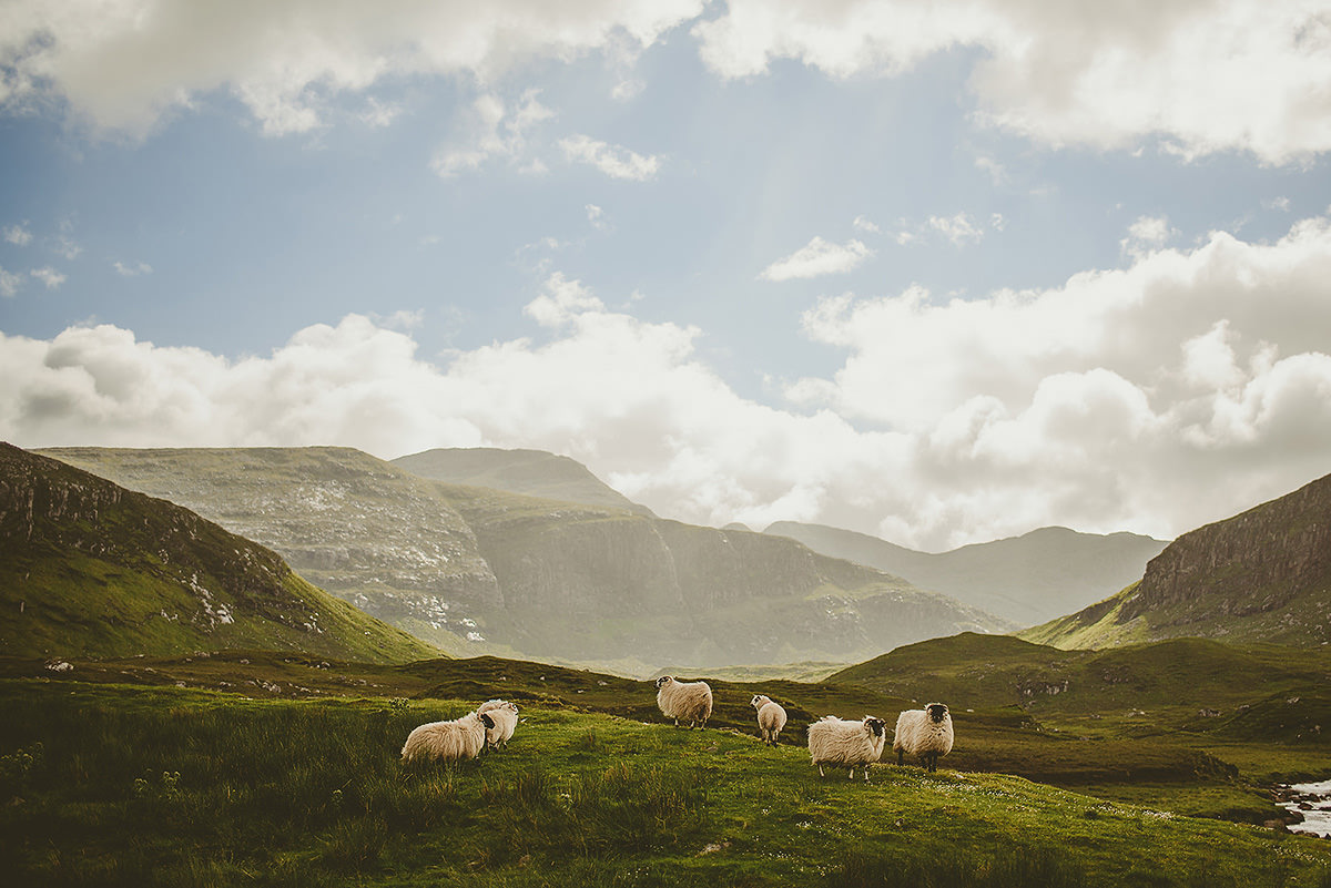 faroe islands wedding photographer